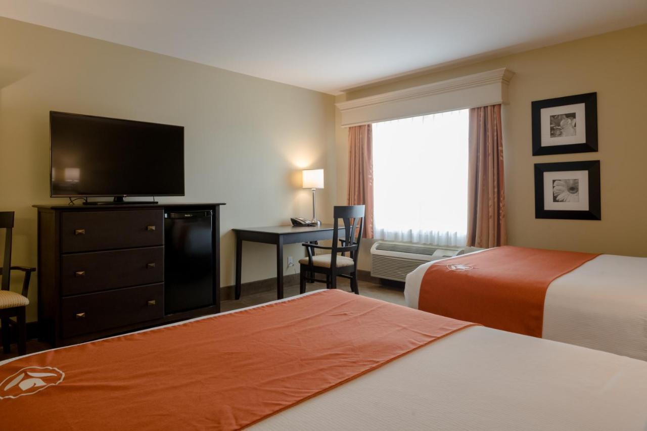 Amsterdam Inn & Suites Sussex Eksteriør billede