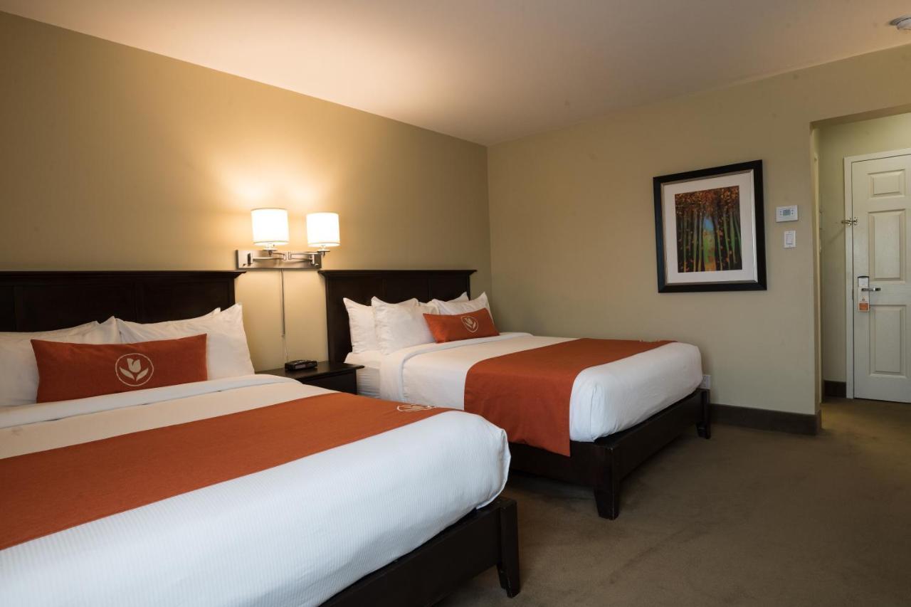 Amsterdam Inn & Suites Sussex Eksteriør billede