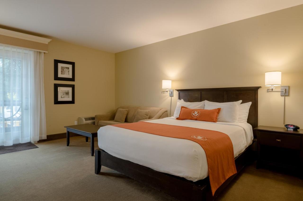 Amsterdam Inn & Suites Sussex Eksteriør billede