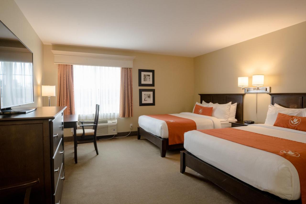 Amsterdam Inn & Suites Sussex Eksteriør billede