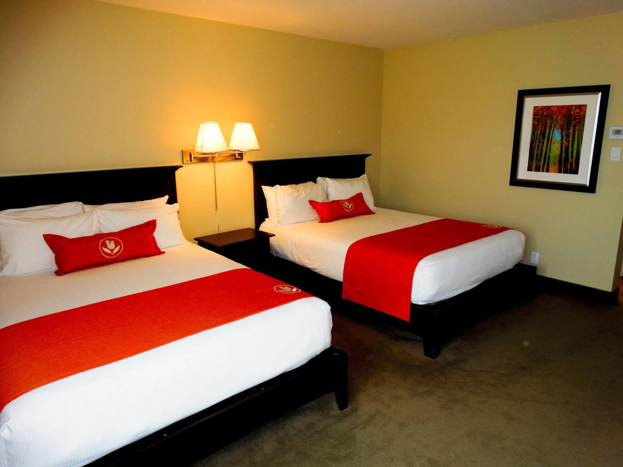 Amsterdam Inn & Suites Sussex Eksteriør billede