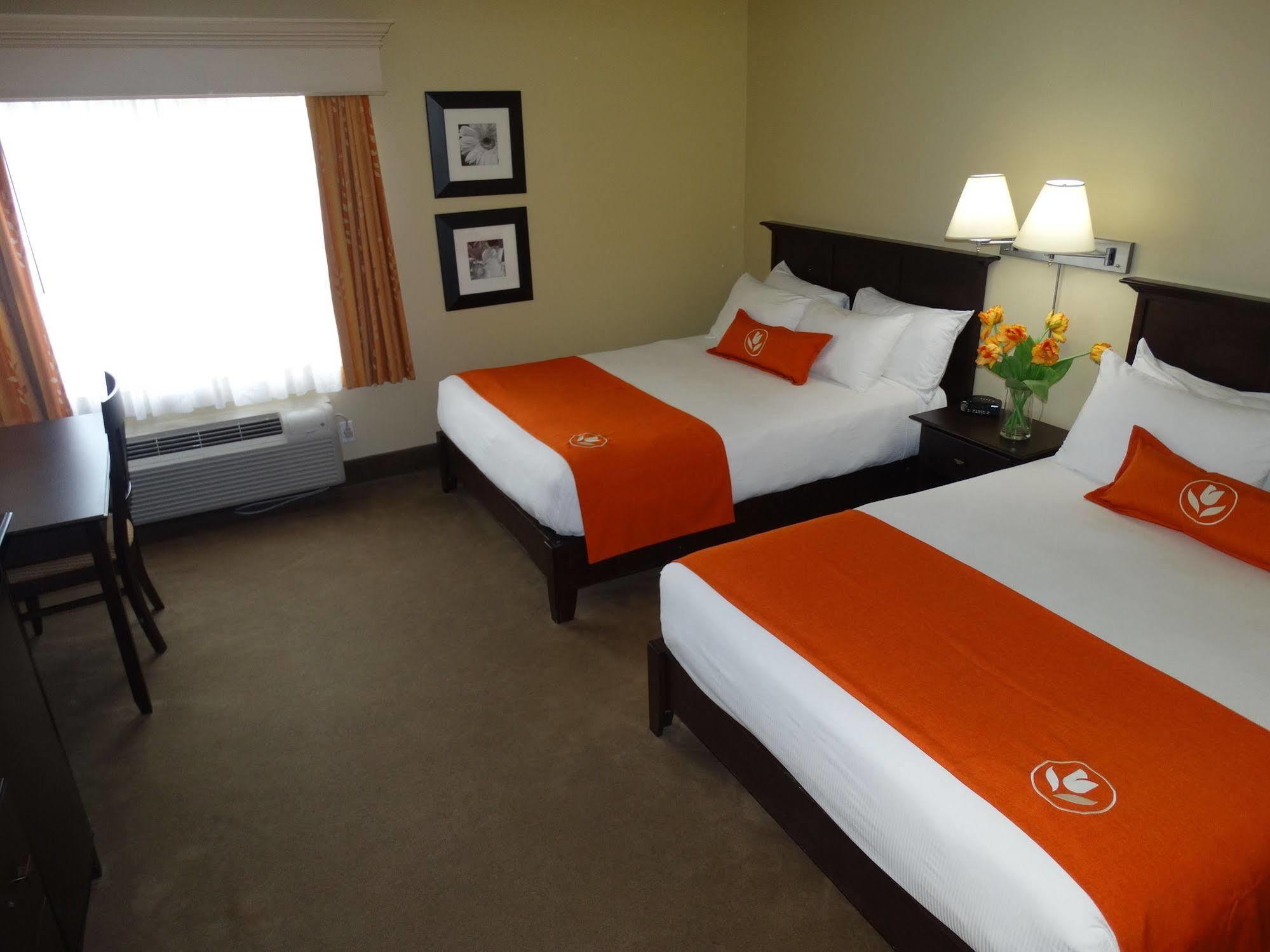 Amsterdam Inn & Suites Sussex Eksteriør billede