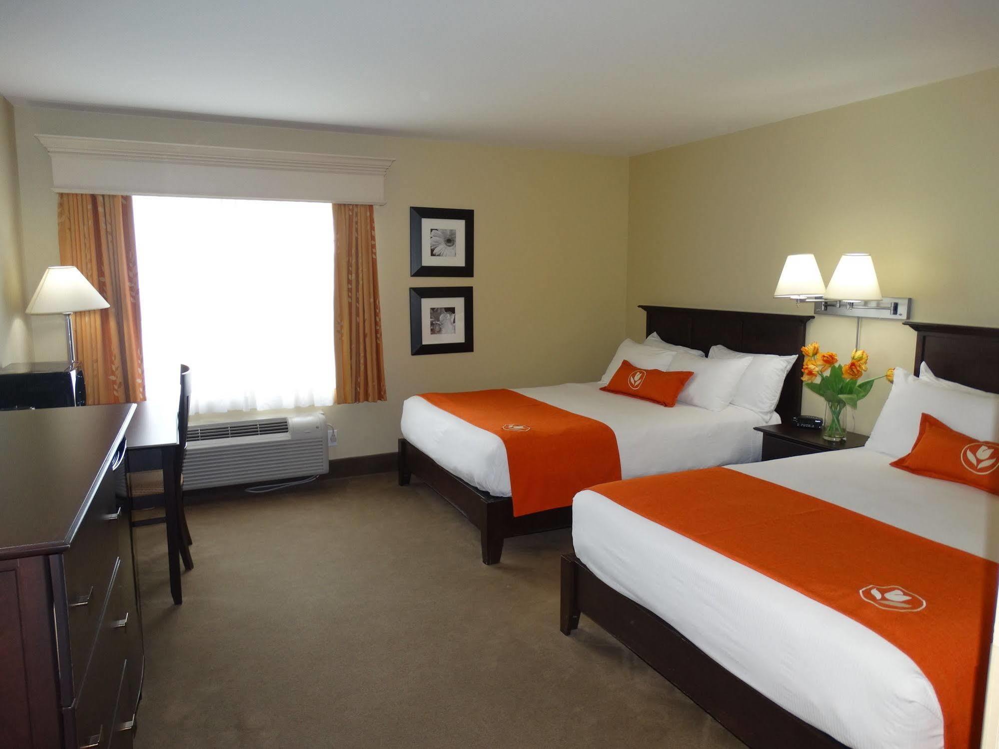 Amsterdam Inn & Suites Sussex Eksteriør billede